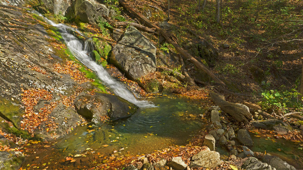 Overstreet Creek Falls - Virginia