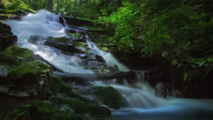 Rowlands Creek Falls