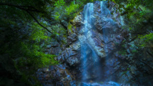 Falls Run Waterfall