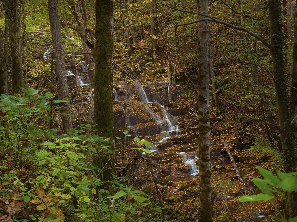 Falls on Cabin Creek