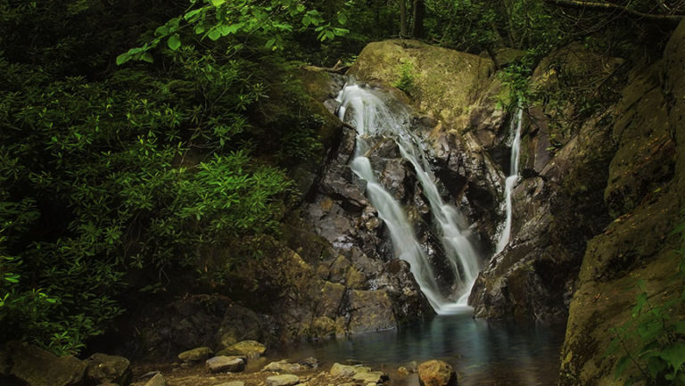 Waterfalls of Grayson Highlands State Park in Virginia | Let's See America