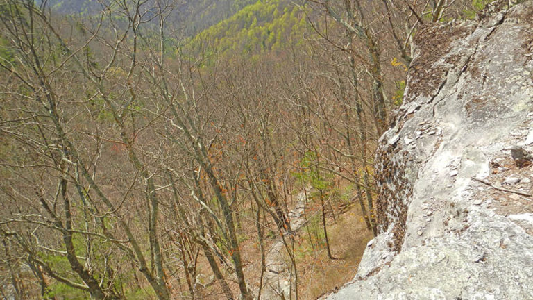 White Rock Falls - 3D Map, Photos and Directions - Blue Ridge Parkway ...
