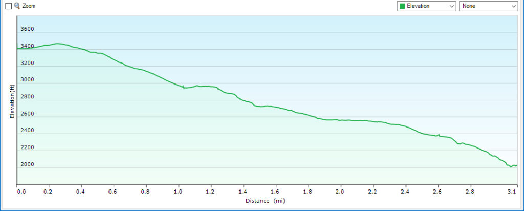 Profile - Overall Run From Skyline