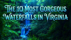Top 10 Waterfalls in VIRGINIA