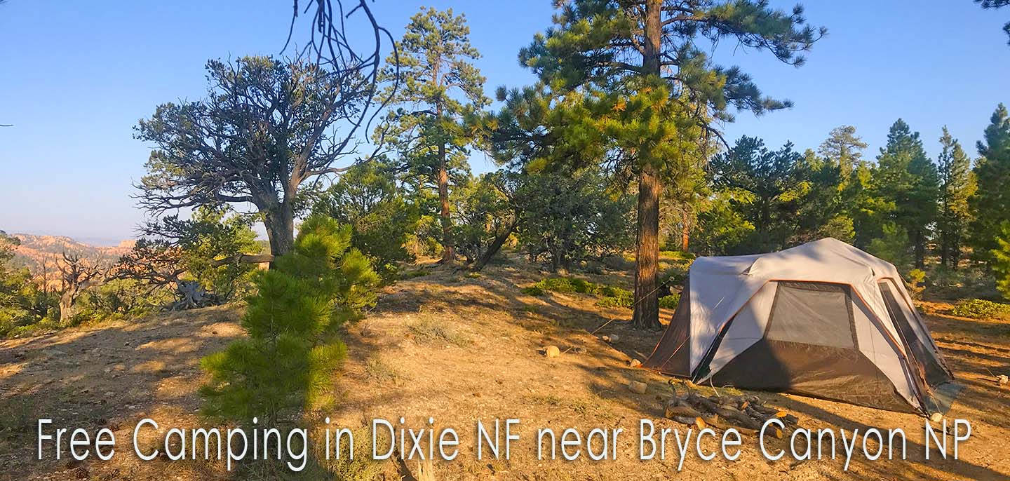 Dixie NF Free Camping Guide