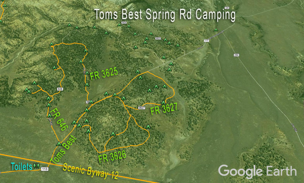 Dixie NF Camping Map Toms Best Spring Rd