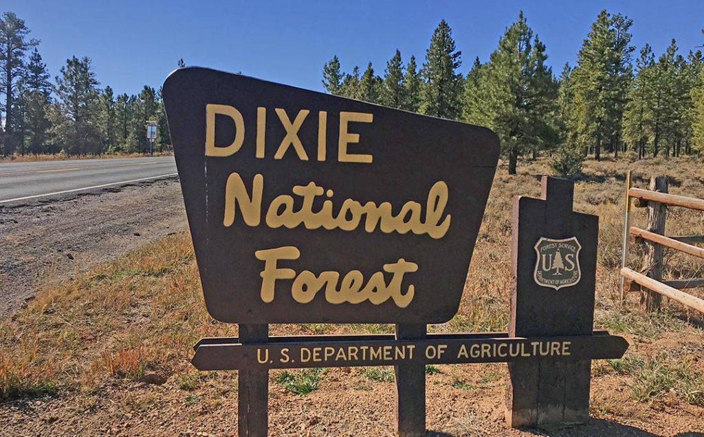 Dixie NF Sign