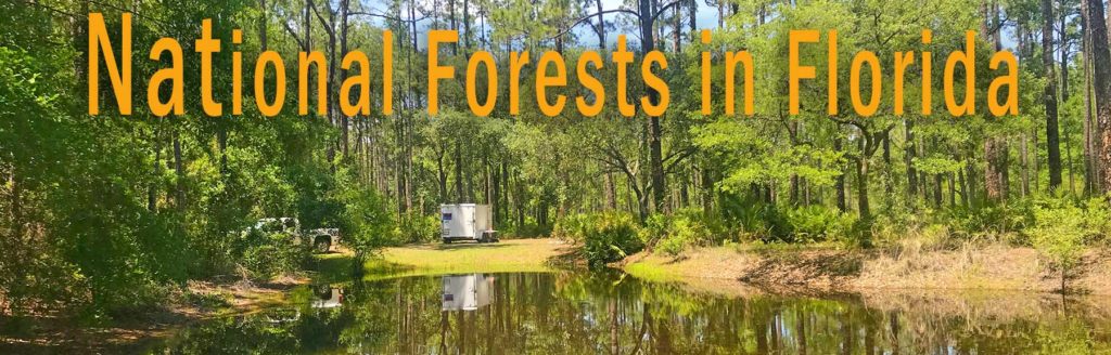 National Forests in Florida