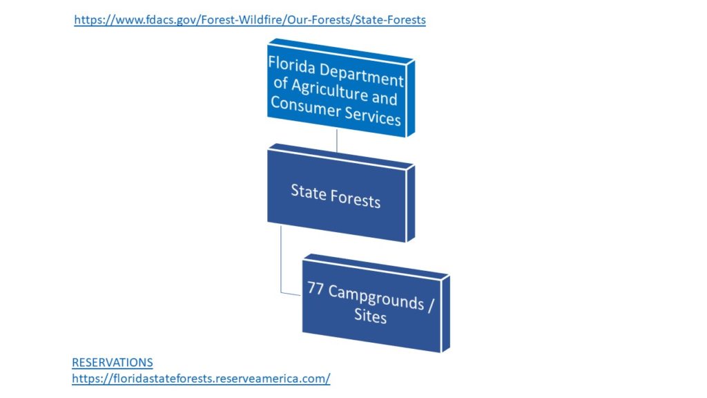 Florida Camping Org Chart - State Forests