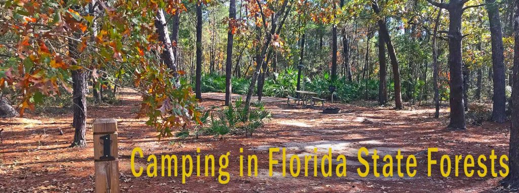 Florida State Forest Camping