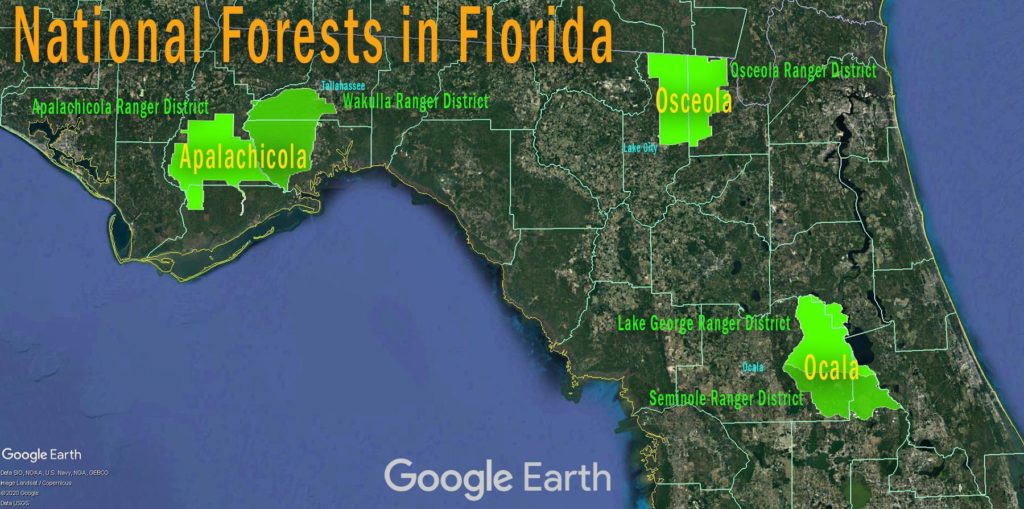 National Forest Map - Florida