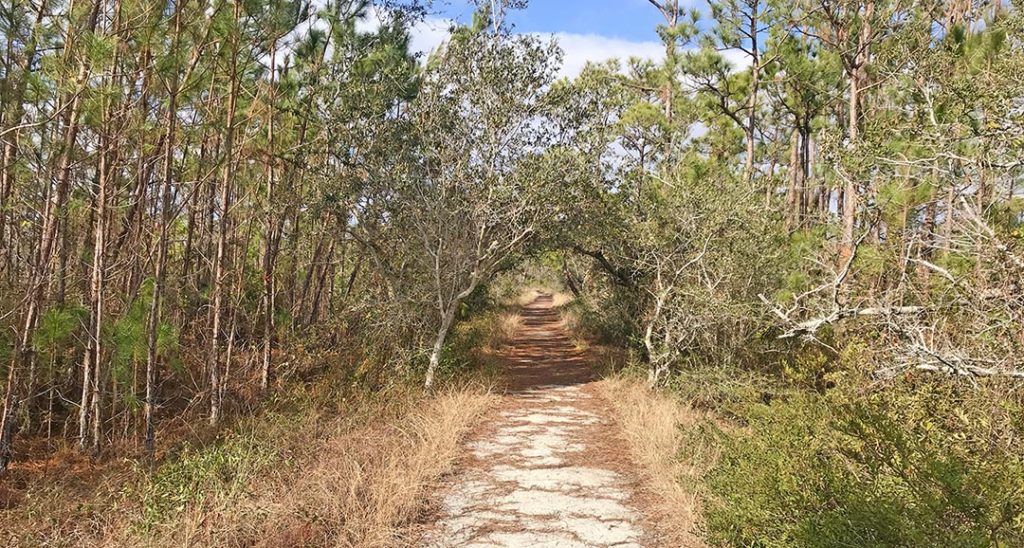 Florida Trail at Fort Pickens