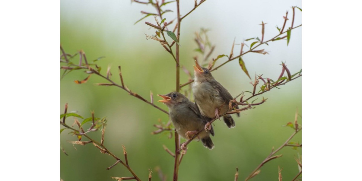 5 Lessons Learned in Nomad Life: #3 Communication