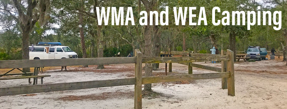 Florida WMA Camping