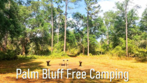 Palm Bluff Campsite