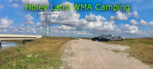 Holey Land WMA Camping