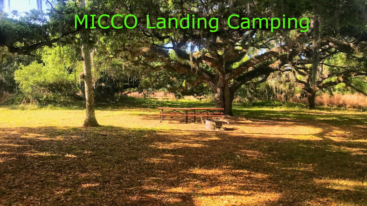 MICCO Landing Camping