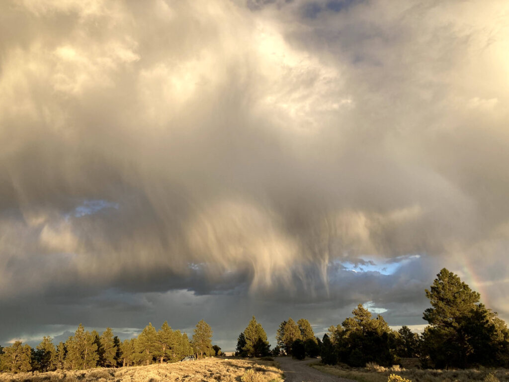 Golden sunlight filters through dramatic storm clouds and falling rain above a winding dirt road and forested landscape.